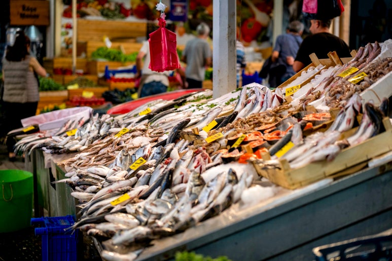 Antalya'da Tekne Turları ve Gezilerini Keşfedin