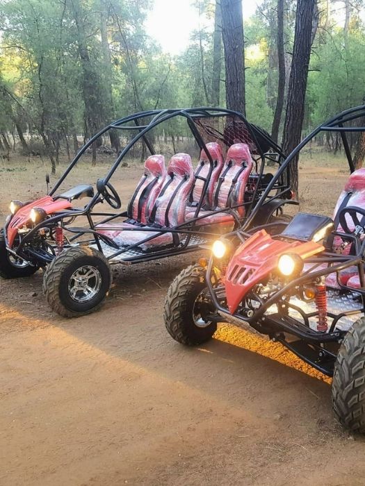 Familien 4-sitziger Buggy-Safari-Tour – Side