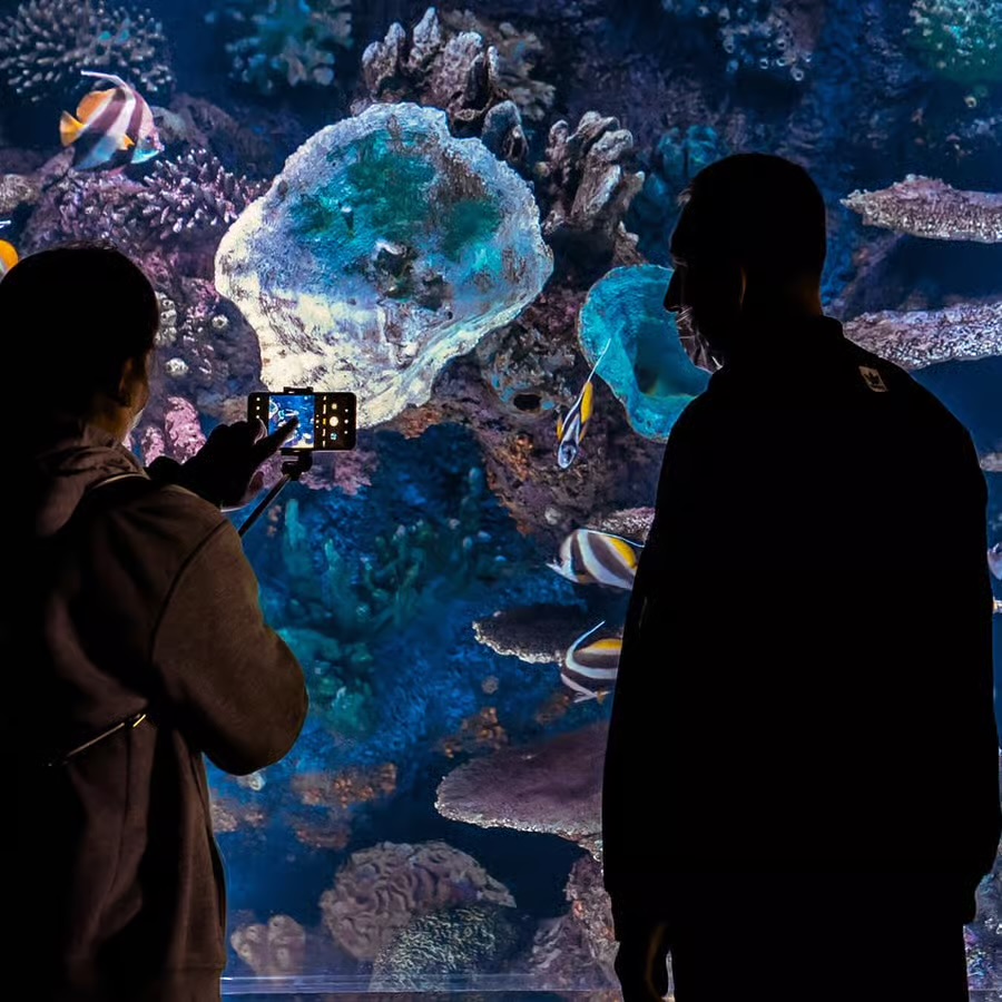 Antalya Aquarium from Side