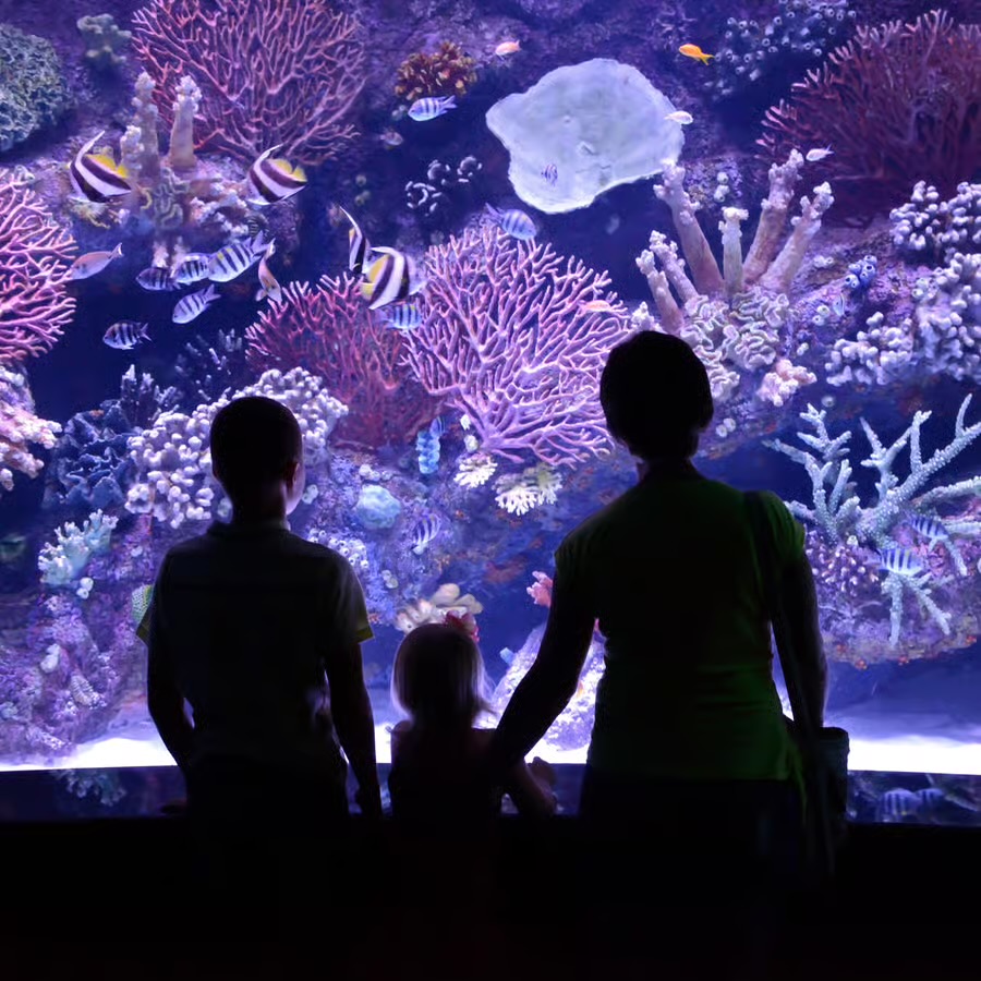 Antalya Aquarium from Side
