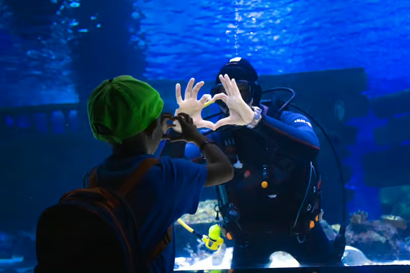 AQUARIUM & LAND OF LEGENDS NIGHT TOUR