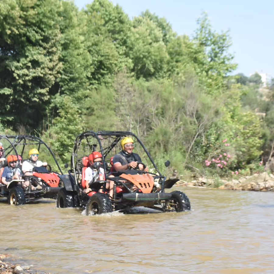 Buggy Safari