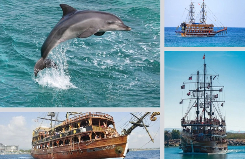 Delfininsel Bootstour