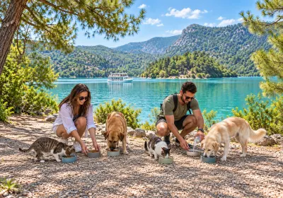 Doğa ve Patiler – Green Canyon, Green Lake ve Sokak Hayvanlarını Besleme Turu
