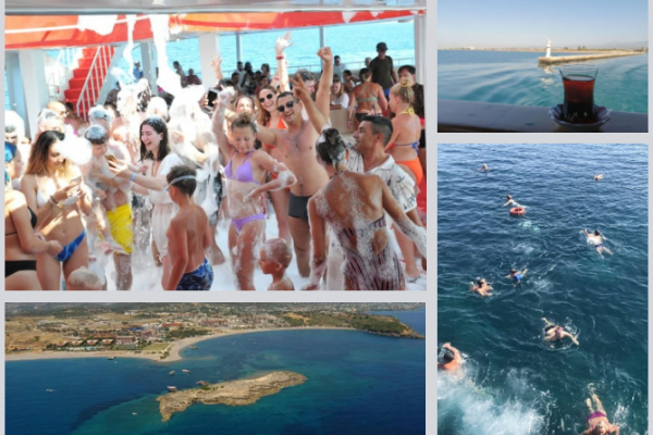 DELPHIN INSEL