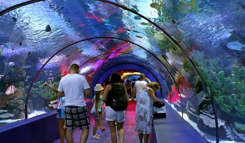 Antalya Aquarium – Ein faszinierendes Unterwasserabenteuer mit Happy Funny Tours!