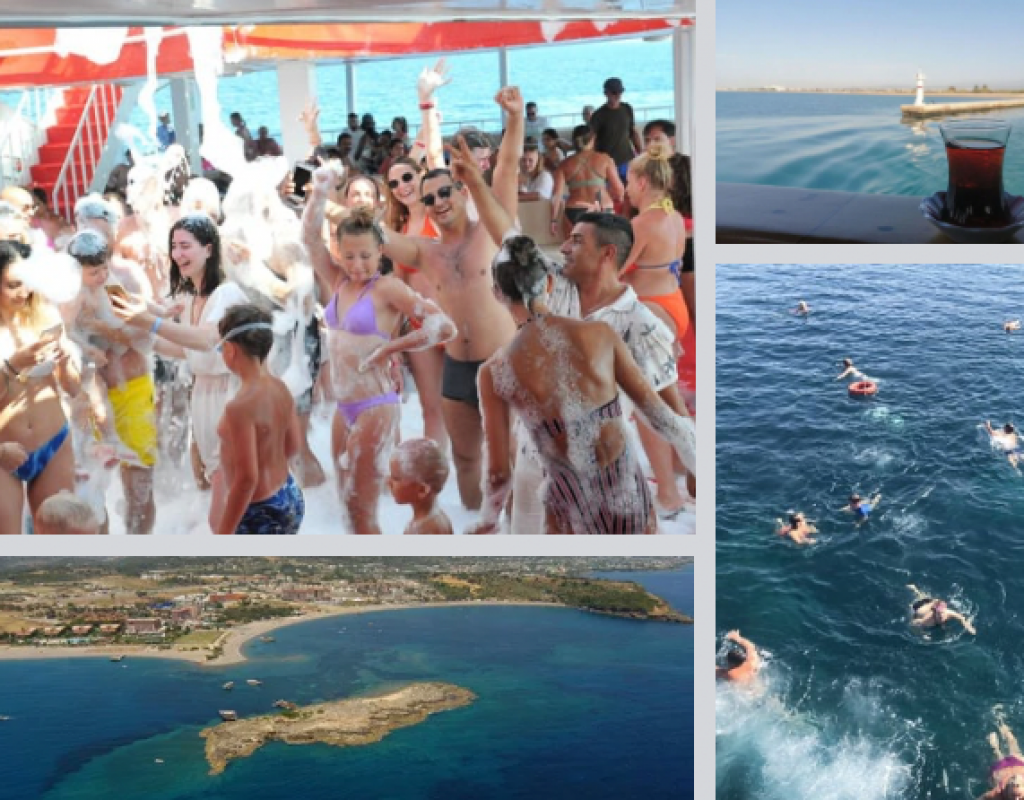 DELPHIN INSEL