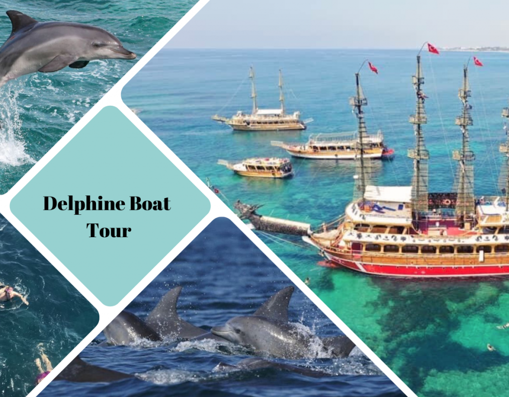 DELPHIN INSEL